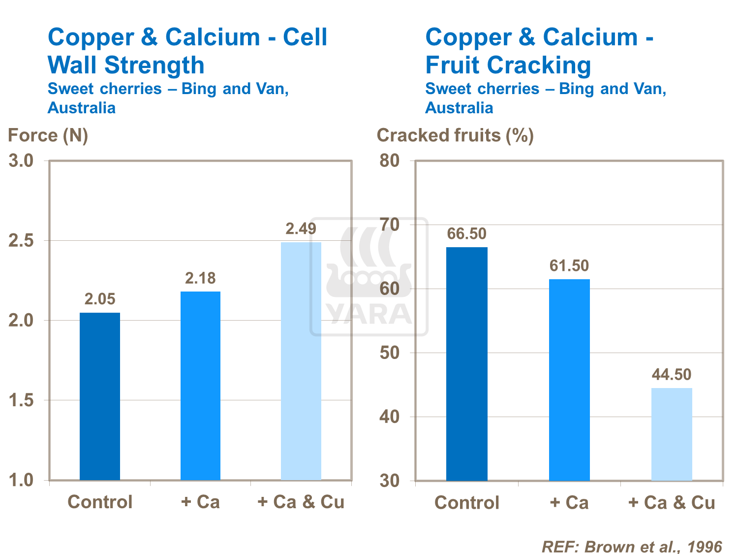 Copper & Calcium