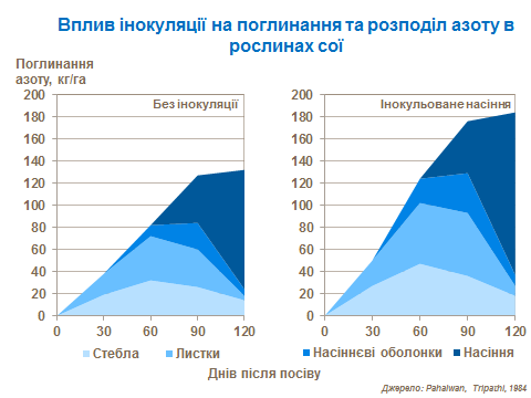 Impact of innoculation