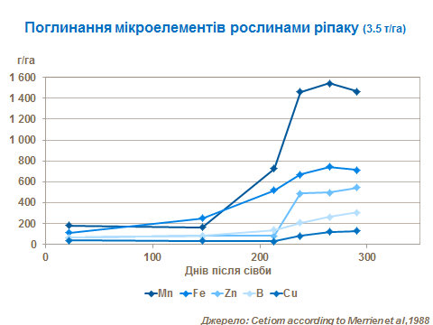 Micronutrietn uptake