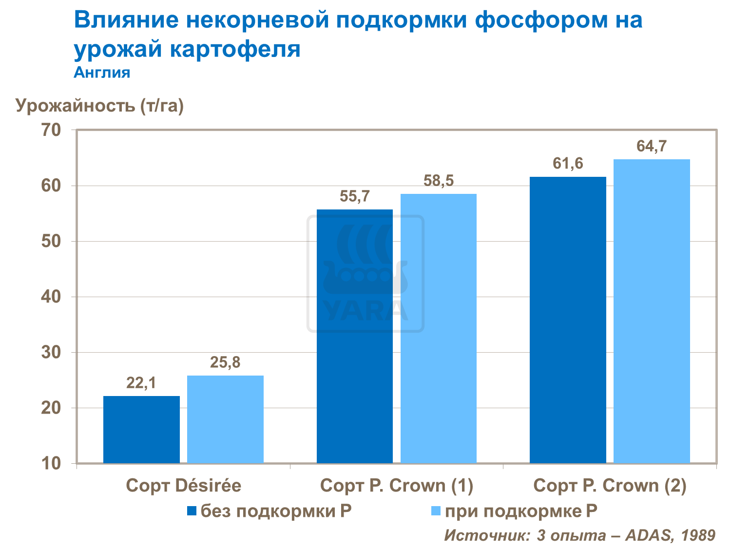 вплив фосфору на розмір бульб