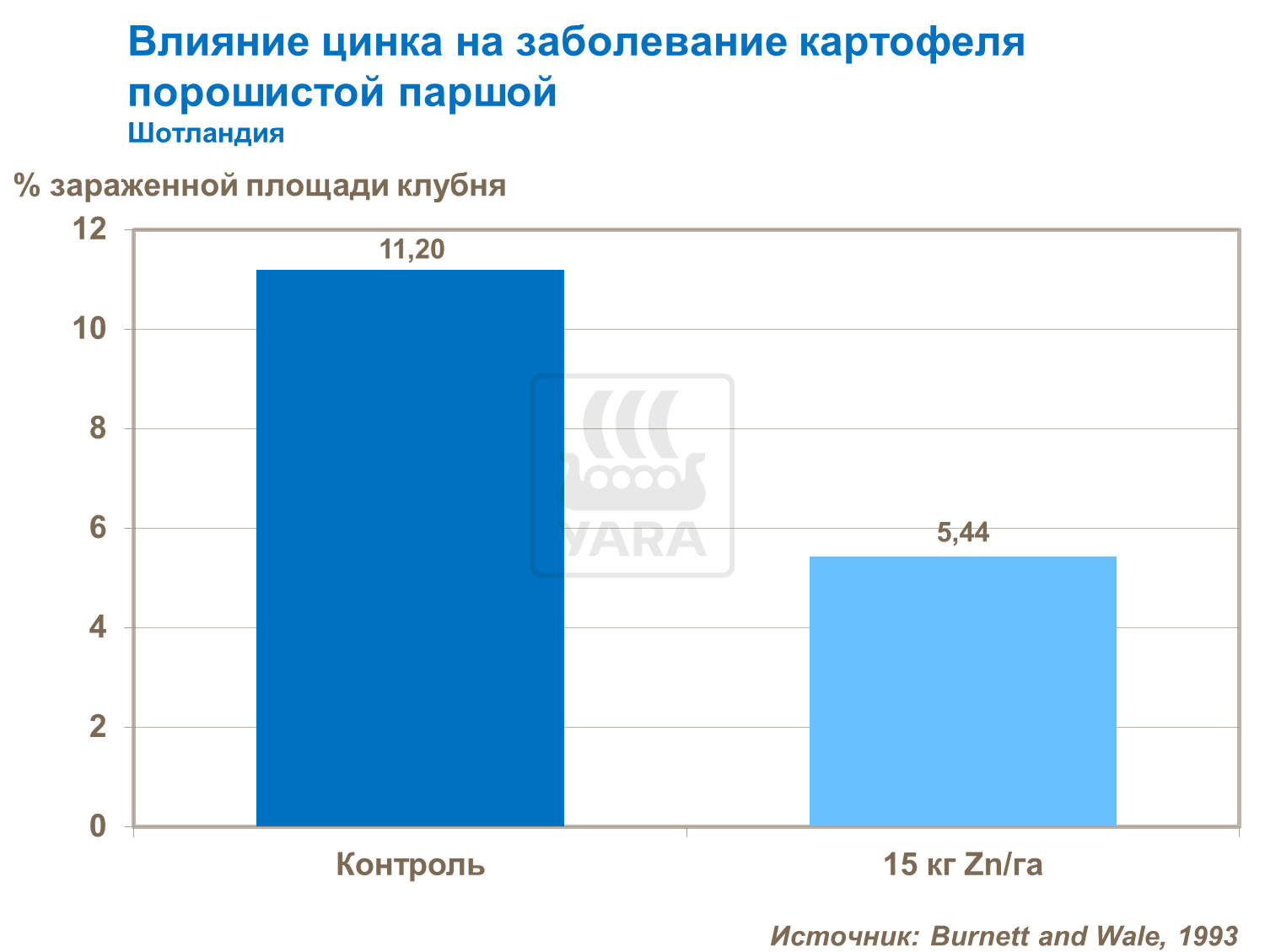 Вплив цинку