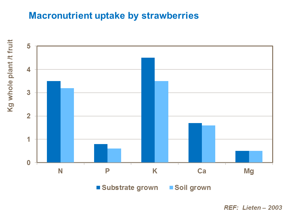 Macronutrient uptake
