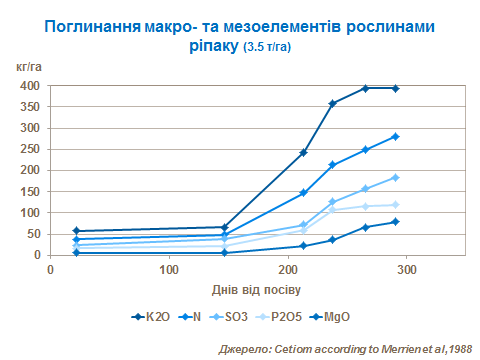 Macronutrient uptake