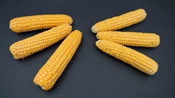 cob defects