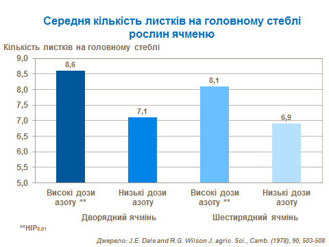 Average leaves quantity