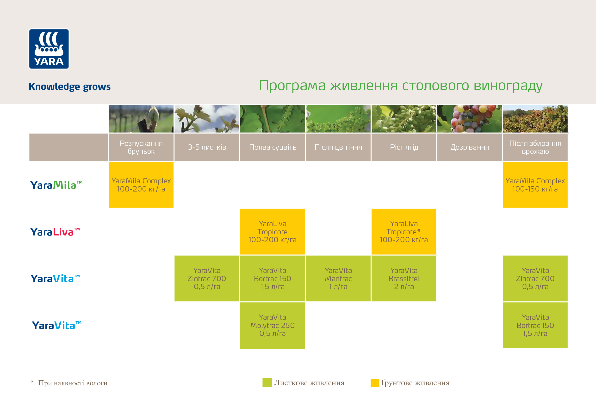 Живлення винограду