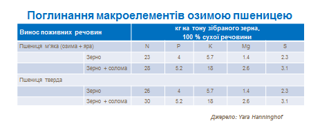 Mucronutrient uptake