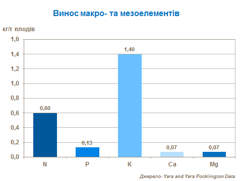 macroelement distribution