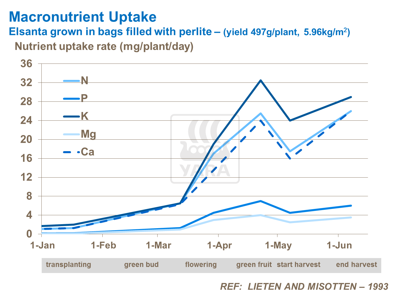 Macronutrient uptake