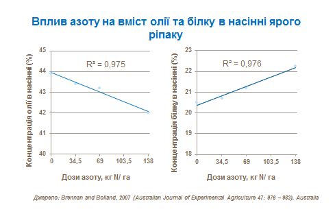 N influence on protein and oil content