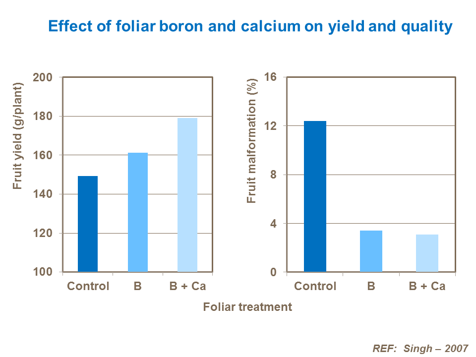 Effect of foliar boron